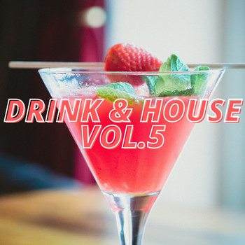 Various Artists - Drink & House Vol.5