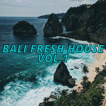 Various Artists - Bali Fresh House Vol.1