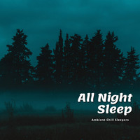 Ambient Chill Sleepers - All Night Sleep (Piano and Night Sounds)