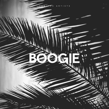 Various Artists - Boogie