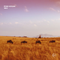 Ryan Hogan - Wax