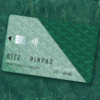 Bizz - Pinpas