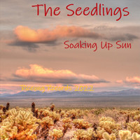 The Seedlings - Soaking Up Sun