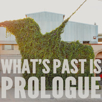 Dark Rooms - What's Past Is Prologue