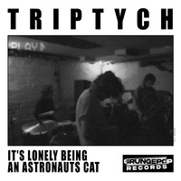 Triptych - It’s Lonely Being an Astronauts Cat