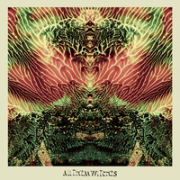 All Them Witches - Blacksnake Blues