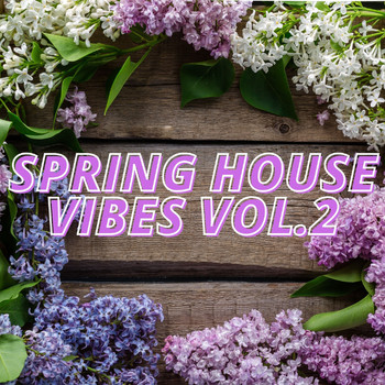 Various Artists - Spring House Vibes Vol.2