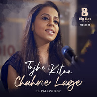 Big Bat Music (feat. Pallavi Roy) - Tujhe Kitna Chahne Lage