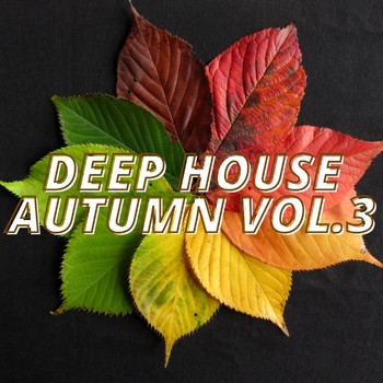 Various Artists - Deep House Autumn Vol.3