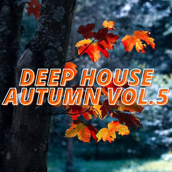 Various Artists - Deep House Autumn Vol.5