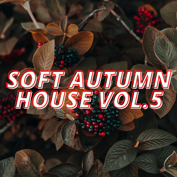 Various Artists - Soft Autumn House Vol.5