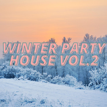 Various Artists - Winter Party House Vol.2