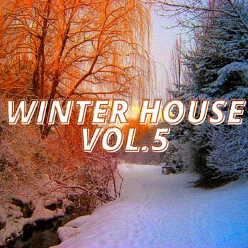 Various Artists - Winter House Vol.5