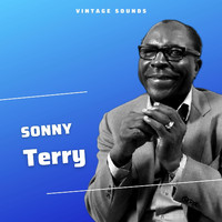 Sonny Terry - Sonny Terry - Vintage Sounds