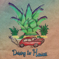Summer Salt - Driving to Hawaii (Juniper Version)