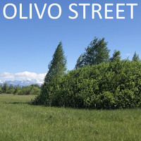 Olivo Street - Olivo Street