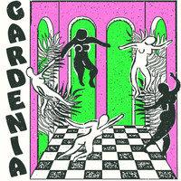 Gardenia - Acorn