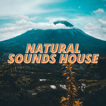 Various Artists - Natural Sounds House