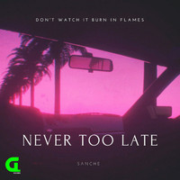 Sanche - Never Too Late