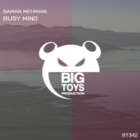 Saman Mehmani - Busy Mind