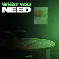 Muzzle - What You Need