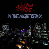 Wiley - In The Night Remix