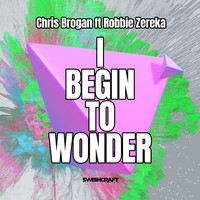 Chris Brogan - I Begin to Wonder
