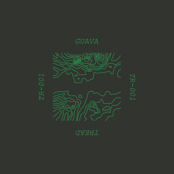 Guava - Guitarist EP