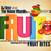 DJ Drez - The House Vitamin Rx.4