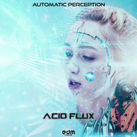 Acid Flux - Automatic Perception