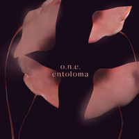 O.N.E. - Entoloma