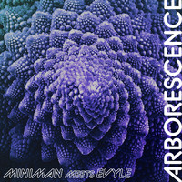 Miniman - Arborescence