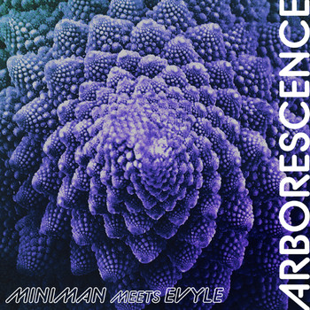 Miniman - Arborescence