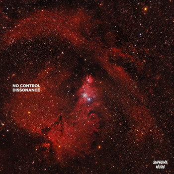 No Control - Dissonance