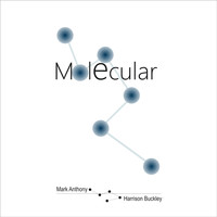 Mark Anthony Buckley - Molecular