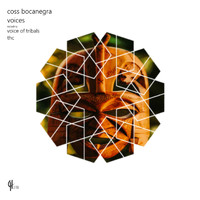 Coss Bocanegra - Voices