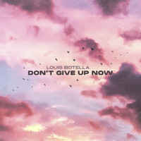 Louis Botella - Don't Give Up Now