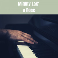Frank Sinatra, Alex Stordahl & His Orchestra - Mighty Lak' a Rose