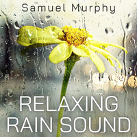 Samuel Murphy - Relaxing Rain Sound
