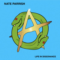 Nate Parrish - Life in Dissonance