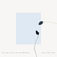 Spencer Zahn - In The Days of Slowness