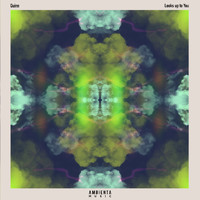 Quinn - Looks up to You