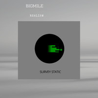 Bigmile - Realism