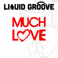 Liquid Groove - Much Love