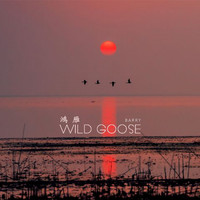 Barry - Wild Goose