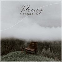 Vegard - Pacing
