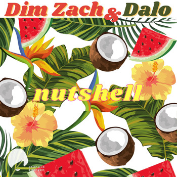 Dim Zach & Dalo - Nutshell Reworks