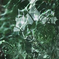 No Home - Warped Bow