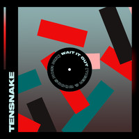Tensnake - Wait It Out (Tiger & Woods Noir Mix)