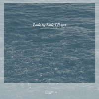 DAVI - Little by Little I Forget